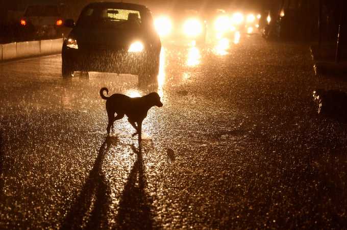 Chennai Rains3