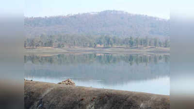 पेल्हार, उसगाव धरणातील पाणीसाठा खालावला