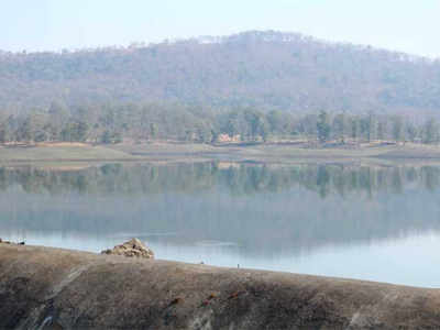 पेल्हार, उसगाव धरणातील पाणीसाठा खालावला