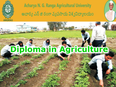 Agricultural Diploma Courses: వ్యవ‌సాయ పాలిటెక్నిక్‌ల‌లో డిప్లొమా కోర్సులు
