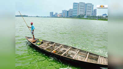 ক্ষত নিয়েও নগরের বিষ টেনে নিচ্ছে নীলকণ্ঠ