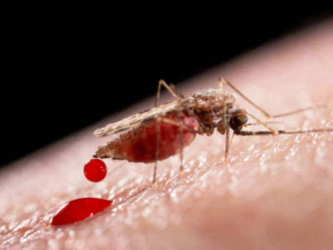 ​मलेरिया से बचाव