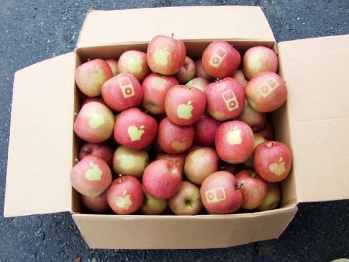 सेब का नया ब्रांड