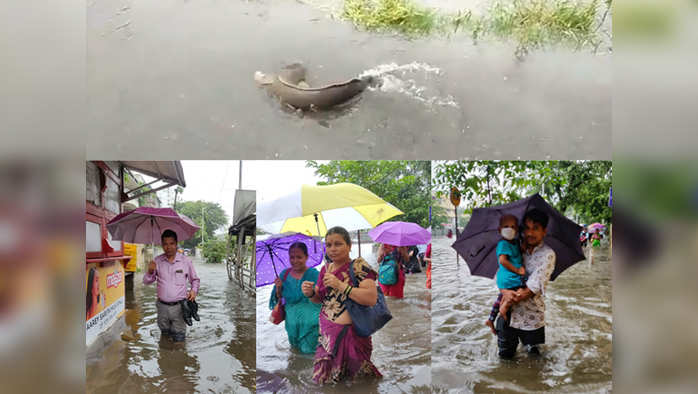 LIVE: मुंबई में जलजमाव के बीच लोग परेशान, अगले तीन दिन जारी रहेगी बारिश