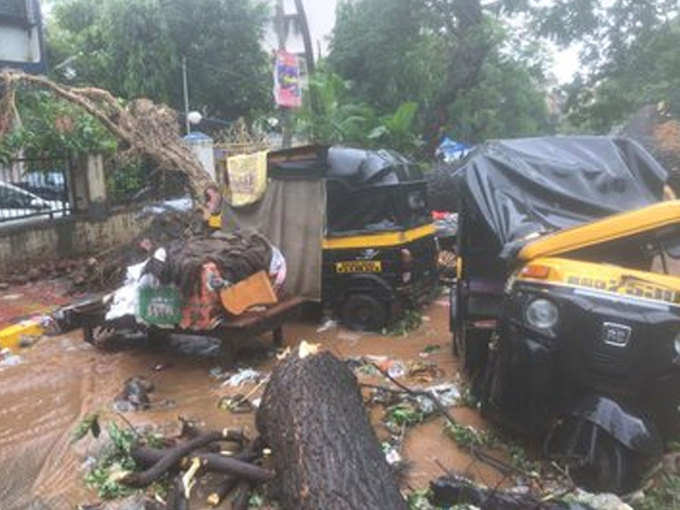 मुंबई: घाटकोपर के अमृत नगर में भारी बारिश के चलते पेड़ गिर गया, जिसकी वजह से कई गाड़ियां क्षतिग्रस्त हो गईं।