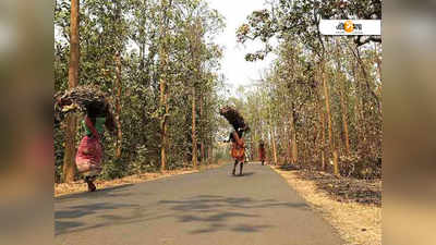 নেতার কাটমানি খিদের জেরে ভিটেহীন লোধা-শবররা