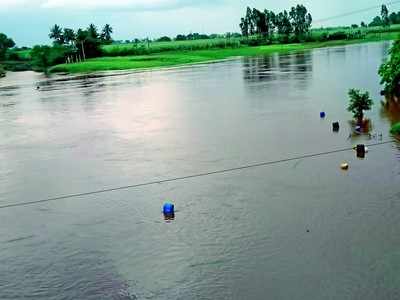 ಕೊಲ್ಲಾಪುರ ಜಿಲ್ಲೆಯಲ್ಲಿ ಮತ್ತೆ ಮಳೆ; 16 ಸೇತುವೆಗಳು ಜಲಾವೃತ