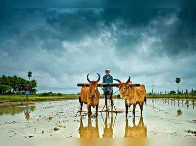 ರೈತ ಕೇಂದ್ರಿತ ವ್ಯವಸ್ಥೆಯೇ ಕೃಷಿಕೇಂದ್ರಿತ