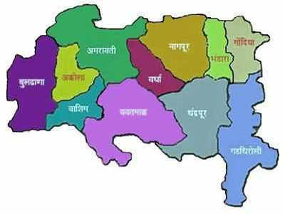 अर्थसंकल्पातून विदर्भाला काय?