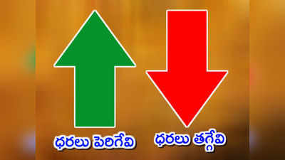 బడ్జెట్ 2019 ఎఫెక్ట్: ధరలు పెరిగేవి.. తగ్గేవి ఇవే!