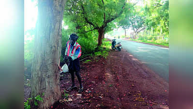 ರಸ್ತೆ ಅಭಿವೃದ್ಧಿಗೆ 880 ಮರಗಳ ಬಲಿ !