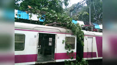 मुंबई: मुलुंडमध्ये ट्रेनवर झाडाच्या फांद्या कोसळल्या