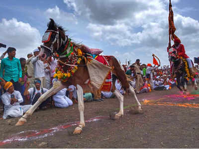 सोलापूरमध्ये पार पडला सर्वांत मोठा रिंगण सोहळा