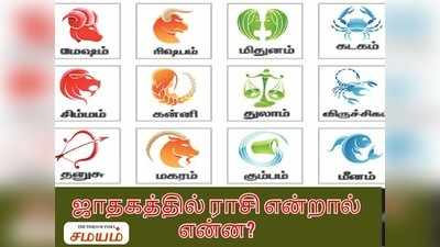 Rasi In Astrology:ஜாதகத்தில் ராசி என்றால் என்ன?- அது எப்படி நமக்கு அமைகிறது? ஜோதிடரின் பதில்