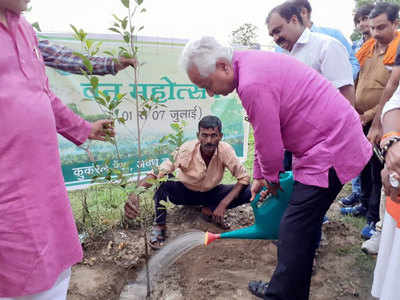 वृक्षारोपण कर बीजेपी विधायक नीरज बोरा ने सड़क निर्माण का किया वादा