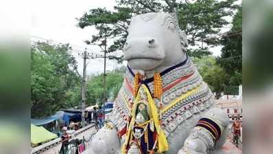 ಬಿರುಕು ಬಿಟ್ಟ ಬೆಟ್ಟದ ನಂದಿ ವಿಗ್ರಹ ಸಂರಕ್ಷಣೆಗೆ ಕ್ರಮ