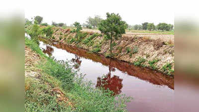 उत्तर पश्चिमी दिल्ली में खेती के लिए किसान इस्तेमाल कर रहे नाले का जहरीला पानी