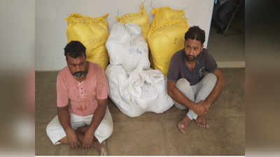 मेरठ: 50 लाख रुपये के गांजे के साथ दो तस्कर गिरफ्तार