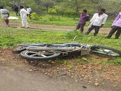 ट्रकच्या धडकेत दाम्पत्य ठार