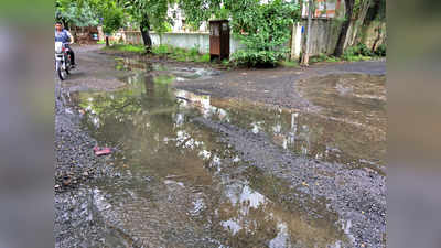 उद्यानात सांडपाण्यामुळे दलदल, दुर्गंधी