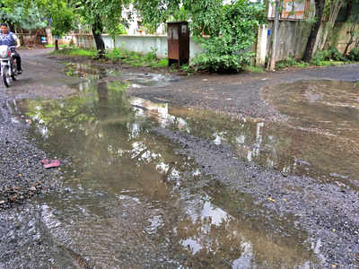 उद्यानात सांडपाण्यामुळे दलदल, दुर्गंधी