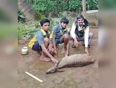 ಮಕ್ಕಳು ರಕ್ಷಿಸಿದರೂ ಬದುಕುಳಿಯದ ಜಿಂಕೆ