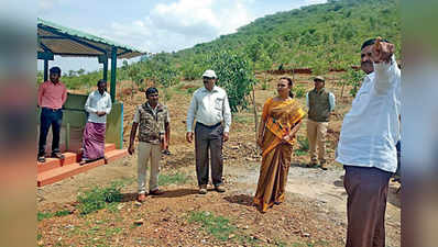 ದೇವರಗುಡ್ಡ ಬರಡು ಭೂಮಿಯಲ್ಲಿ ಹಸಿರು