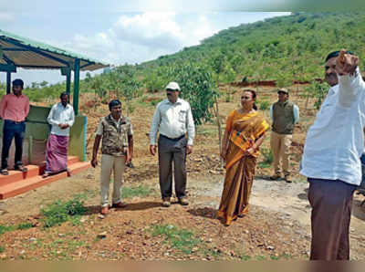 ದೇವರಗುಡ್ಡ ಬರಡು ಭೂಮಿಯಲ್ಲಿ ಹಸಿರು