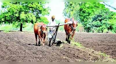 ಬೀದರ್‌ ಜಿಲ್ಲೆಯಲ್ಲಿ ಶೇ. 70ರಷ್ಟು ಬಿತ್ತನೆ