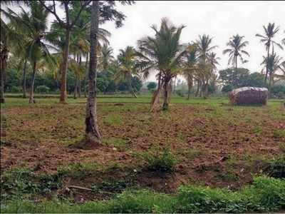 ಇನ್ನೊಂದು ವಾರದಲ್ಲಿ ಇಡೀ ರಾಮನಗರ ಜಿಲ್ಲೆಗೆ ಬರಗಾಲ !