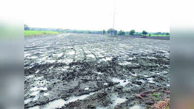 ಹದ ಮಳೆ, ಅನ್ನದಾತ ಖುಷಿ