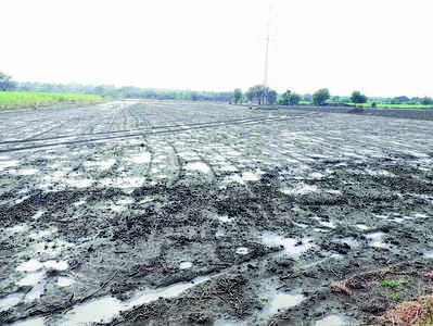 ಹದ ಮಳೆ, ಅನ್ನದಾತ ಖುಷಿ