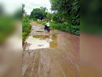 ನಾಲೆಗಿಲ್ಲ ತಡೆಗೋಡೆ, ತಪ್ಪದ ಬವಣೆ