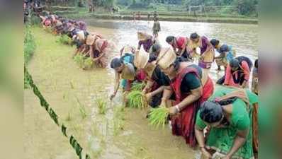 ವರ್ಷಧಾರೆಯ ಮಧ್ಯೆ ಮೇಳೈಸಿದ ಮಳೆ ಸೊಬಗು