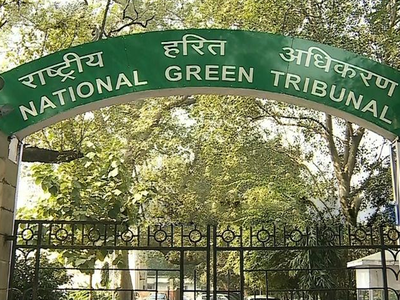 NGT ने दिल्ली, यूपी, हरियाणा से पूछा,  यमुना की सफाई में क्या-क्या कदम उठाए