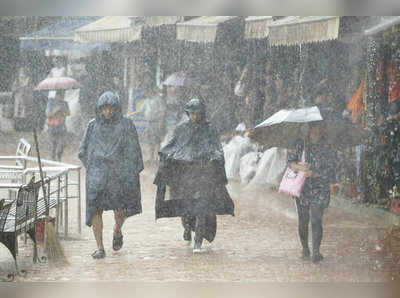 Red Alert in Kozhikode: മഴ തുടരുന്നു: മൂന്ന് ജില്ലകളിൽ റെഡ് അലര്‍ട്ട്, വിദ്യാഭ്യാസ സ്ഥാപനങ്ങള്‍ക്ക് അവധി