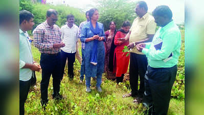 ಬೆಳೆಗಳ ಜಂಟಿ ಸರ್ವೇ ನಡೆಸಿ ಮಾಹಿತಿ ನೀಡಿ