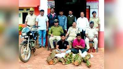 ಶ್ರೀಗಂಧ ಕಟ್ಟಿಗೆ ಅಕ್ರಮ ಮಾರಾಟ: ಇಬ್ಬರ ಬಂಧನ