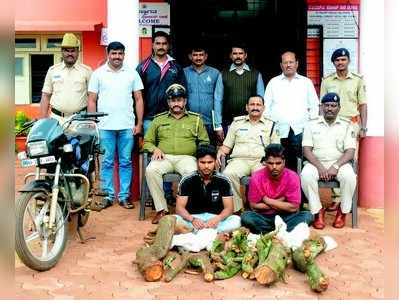 ಶ್ರೀಗಂಧ ಕಟ್ಟಿಗೆ ಅಕ್ರಮ ಮಾರಾಟ: ಇಬ್ಬರ ಬಂಧನ