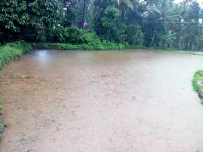 ಕಳೆ ನಾಶಕ ಔಷಧದಿಂದ ಬೆಳೆ ನಾಶ