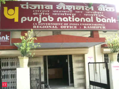 मुनाफे में लौटा पंजाब नैशनल बैंक, पहली तिमाही में 1,019 करोड़ रुपये का शुद्ध लाभ