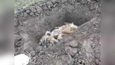 गुंटूरः पंचायत के फरमान के बाद 70 कुत्तों को मारकर दफनाया गया, केस दर्ज
