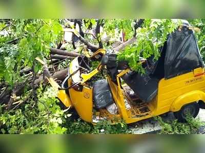 சேலத்தில் பலத்த மழை- ராட்சத மரம் முறிந்து ஆட்டோ மீது விழுந்ததில் ஒருவர் உயிரிழப்பு!