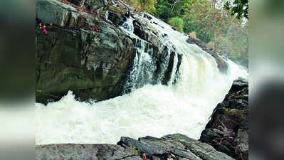 ಹೊಗೆನಕಲ್‌ನಲ್ಲಿ ಕಾವೇರಿ ವೈಯಾರ!