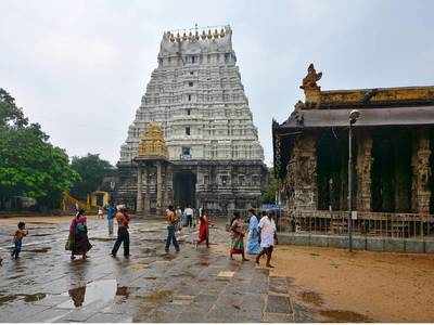 Perumal Temple Darshan: காஞ்சிபுரம் வரதராஜ பெருமாள் திருக்கோயில் ( ஸ்ரீ அத்தி வரதர் கோயில் ) முழு தகவல்கள்