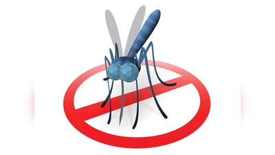 अल्मोड़ा में दुर्लभ प्रजाति का मलेरिया कारक परजीवी मिलने का दावा, जांच जारी