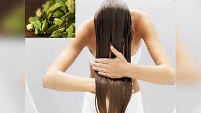 Hair fall रोकने में मदद करती है इलायची, जानें फायदे