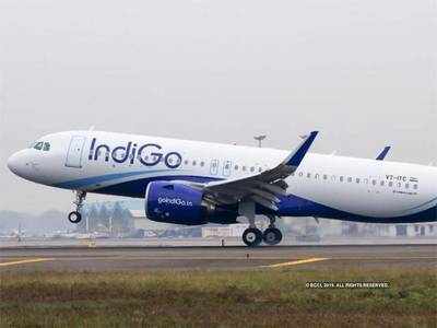 इंडिगोः भाटिया-गंगवाल में रार पर विदेश से सपॉर्ट से और ऊंची होगी कंपनी की उड़ान