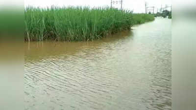 कर्नाटक को बिना बताए महाराष्ट्र सरकार ने कृष्णा नदी में छोड़ा 1.9 लाख क्यूसेक पानी, कई गांव में बाढ़ जैसे हालत