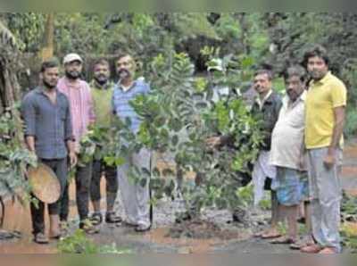 ತಗ್ಗು, ಗುಂಡಿಗಳಲ್ಲಿ ಸಸಿ ನೆಟ್ಟು ಪ್ರತಿಭಟನೆ